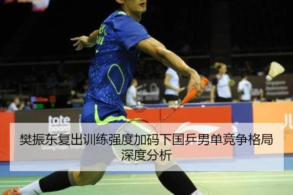 樊振东复出训练强度加码下国乒男单竞争格局深度分析